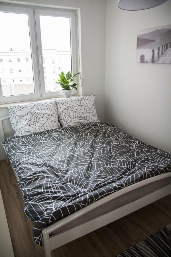 Apartament F&J Торунь Екстер'єр фото